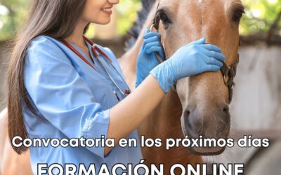 Curso de Formación Online para Veterinarios en Pruebas Oficiales