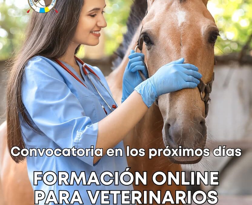Curso de Formación Online para Veterinarios en Pruebas Oficiales