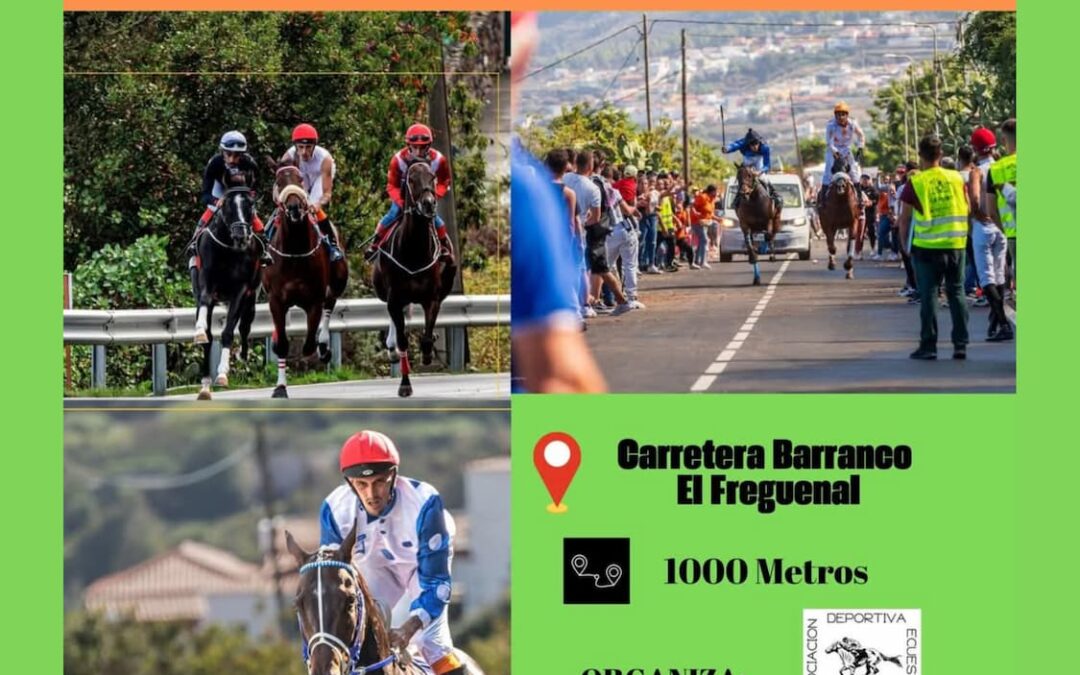 Güímar acoge la 3ª fase puntuable del Campeonato de Tenerife 2025 de carreras de caballos