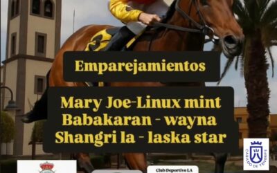 Vuelven las Carreras de Caballos a La Atalaya con un emocionante cartel