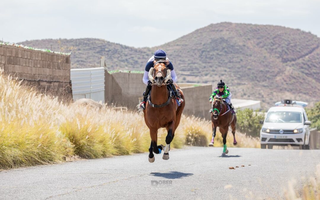 Güímar acogió con gran afluencia y afición la tercera fase puntuable del Campeonato de Tenerife de Carreras de Caballos 2025