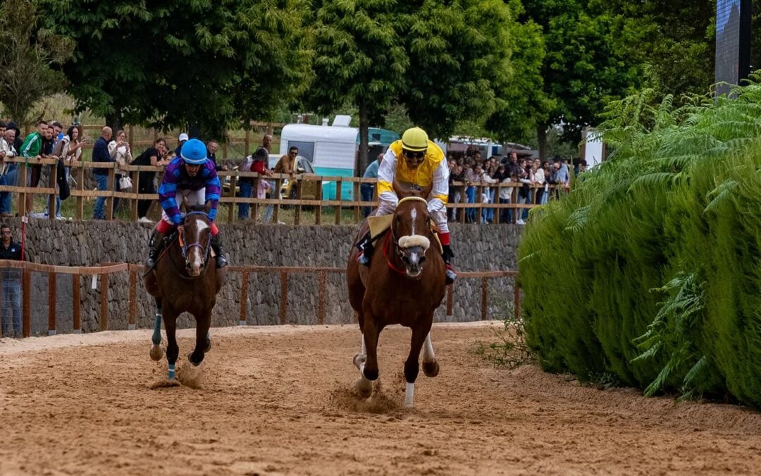 Pedro Roque domina la final de la III Copa Hípica San Vicente Ferrer en Valleseco