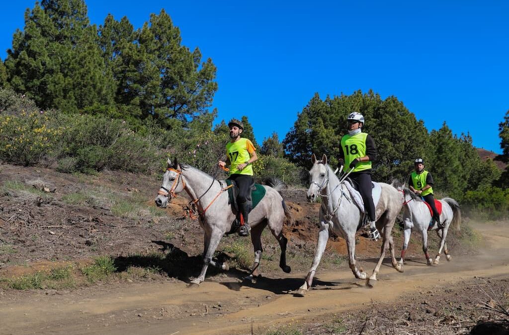 Gran participación y nivel deportivo en el II Raid Altos Villa de Mazo