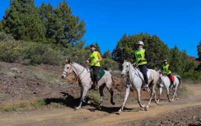Gran participación y nivel deportivo en el II Raid Altos Villa de Mazo