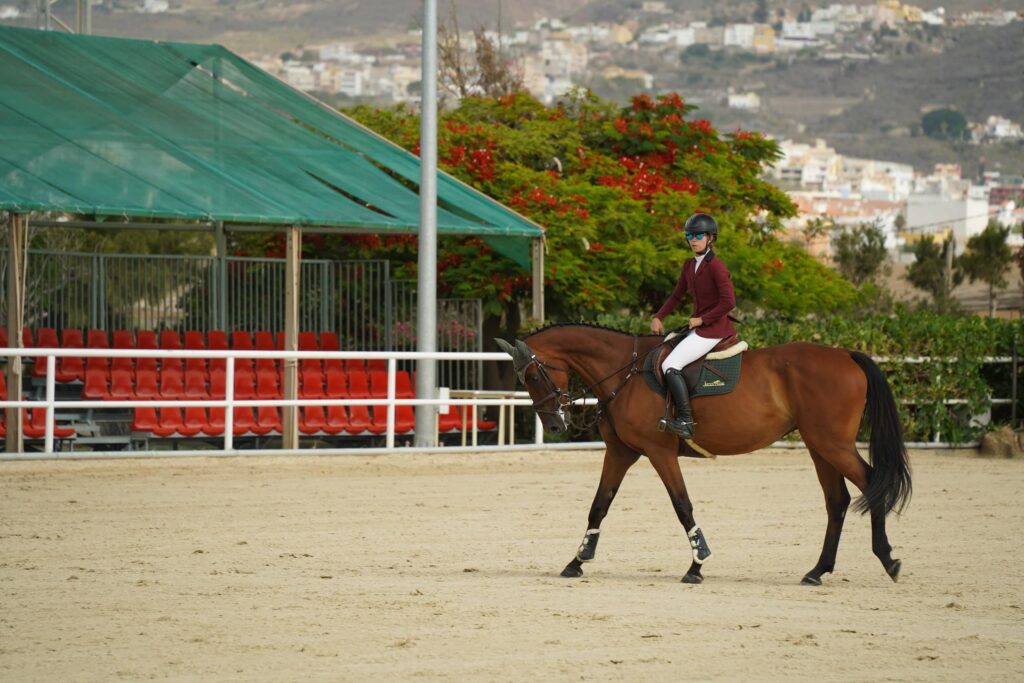 concurso hipica 2025 waleska perez pista