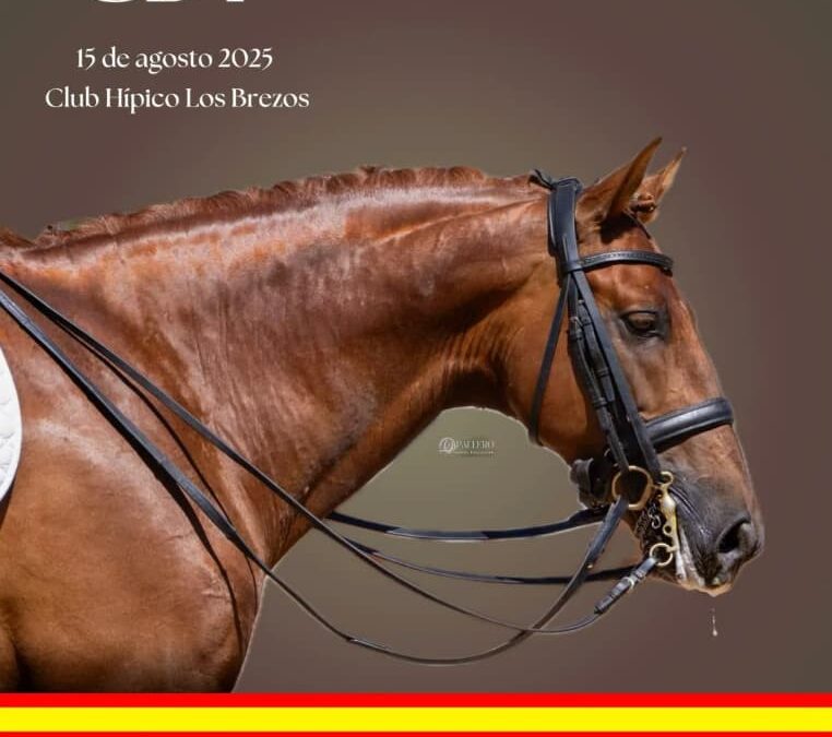 Tacoronte acoge el CDN**, CDT – Copa ANCCE el 15 de agosto en el Club Hípico Los Brezos
