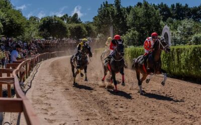 Valleseco celebró con gran éxito la Feria de Ganado y dio inicio a la IV Copa Hípica San Vicente Ferrer