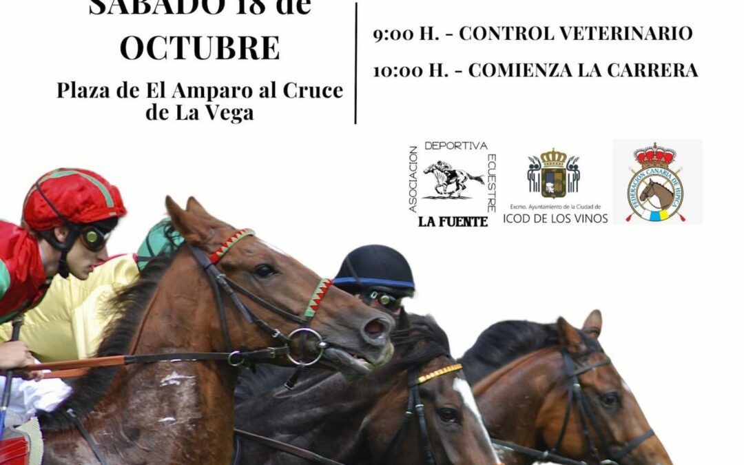 Icod de los Vinos acoge la final del Campeonato de Tenerife con la Carrera de Asfalto Federada 2025
