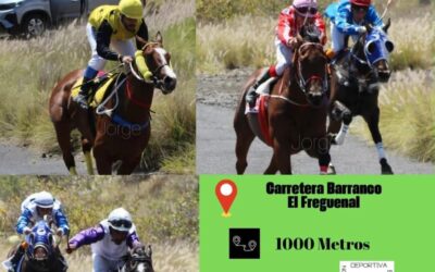 Güímar acoge la primera fase eliminatoria del Campeonato de Tenerife de Carreras de Caballos