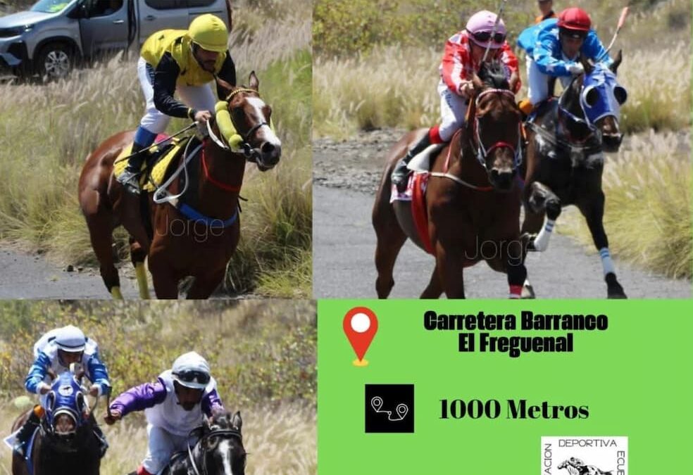 Güímar acoge la primera fase eliminatoria del Campeonato de Tenerife de Carreras de Caballos
