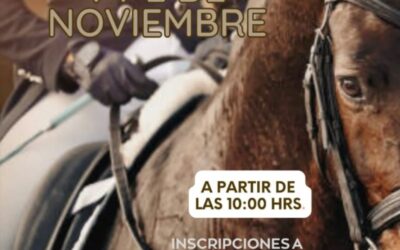 El Real Club de Golf de Las Palmas será la sede este fin de semana de un nuevo concurso territorial de doma clásica y paralímpica