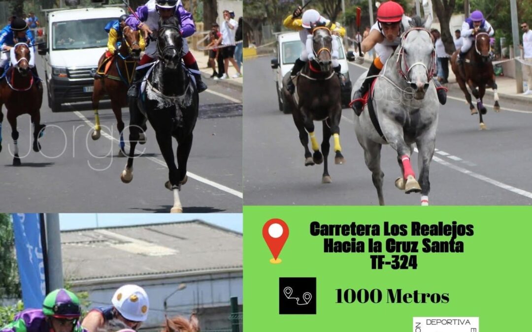 Los Realejos acoge este domingo las semifinales del Campeonato de Tenerife de Carreras de Caballos