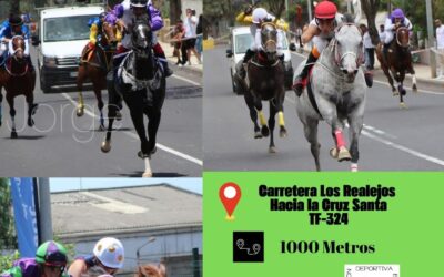 Los Realejos acoge este domingo las semifinales del Campeonato de Tenerife de Carreras de Caballos