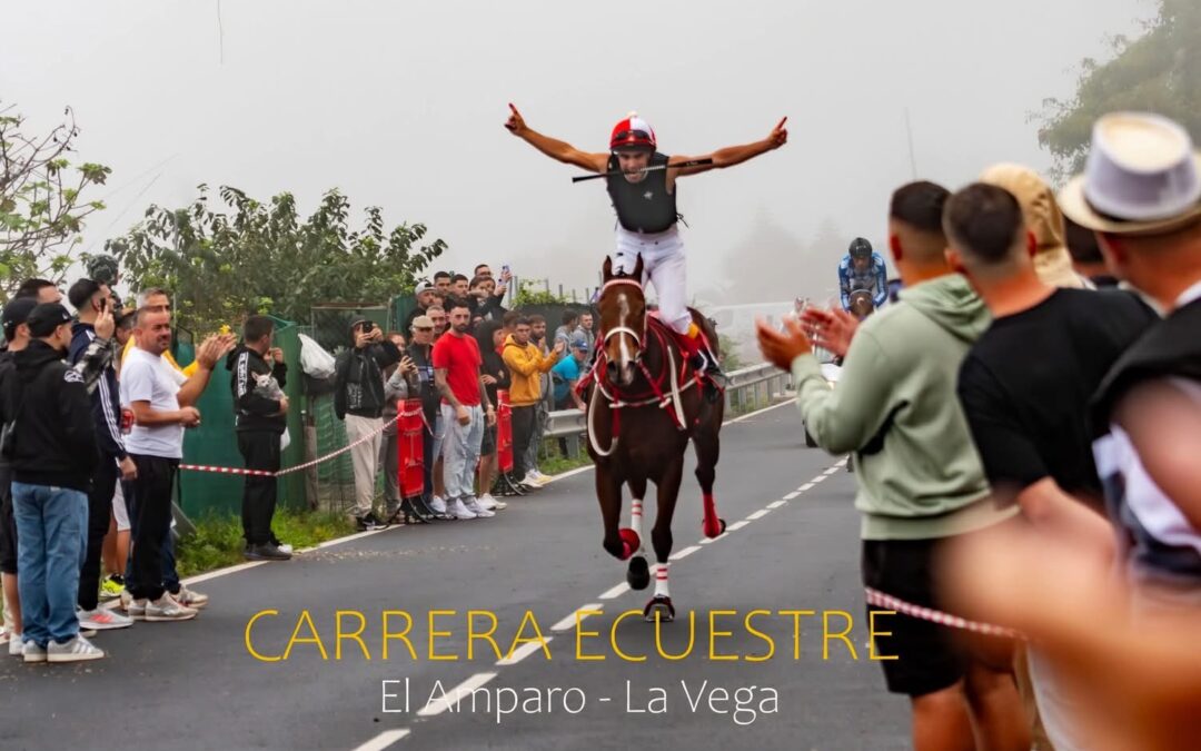 Nullifier se proclama campeón de Tenerife 2025 en las carreras tradicionales de caballos celebradas en Icod de los Vinos