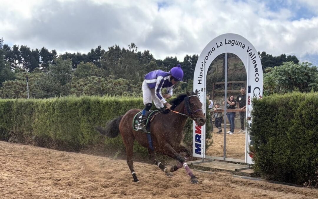 Gran segunda jornada de la Copa Hípica San Vicente Ferrer en el Hipódromo de La Laguna en Valleseco