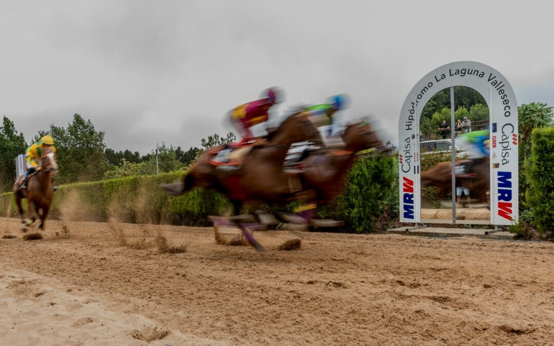 La tercera jornada de la Copa San Vicente Ferrer 2025 se celebra este domingo en el Hipódromo de La Laguna