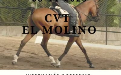 El Centro Hípico El Molino acoge este sábado un concurso territorial de doma vaquera