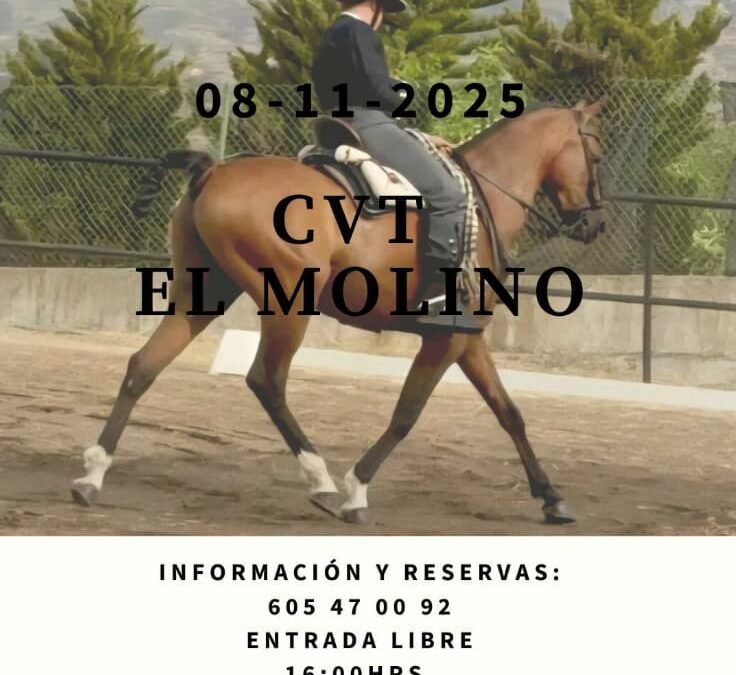 El Centro Hípico El Molino acoge este sábado un concurso territorial de doma vaquera