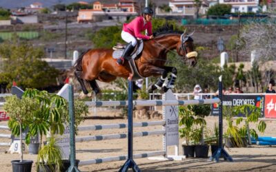 Brillante fin de semana hípico en el CSN* Arona – Playa de las Américas celebrado en el Centro Hípico del Sur