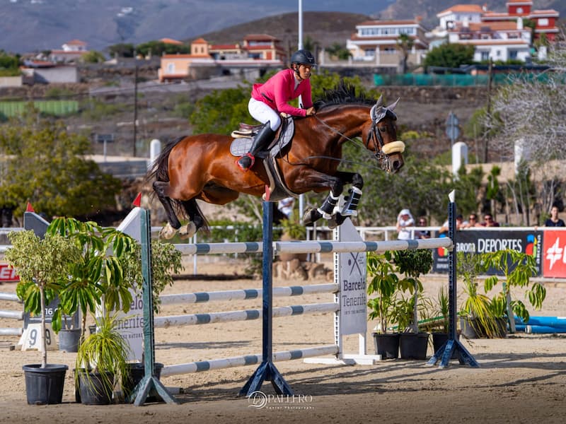 Brillante fin de semana hípico en el CSN* Arona – Playa de las Américas celebrado en el Centro Hípico del Sur