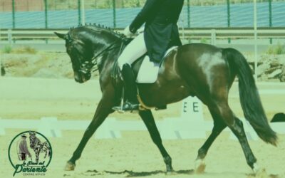 La Finca del Pariente acoge un concurso territorial de doma clásica y paralímpica este sábado en Maspalomas