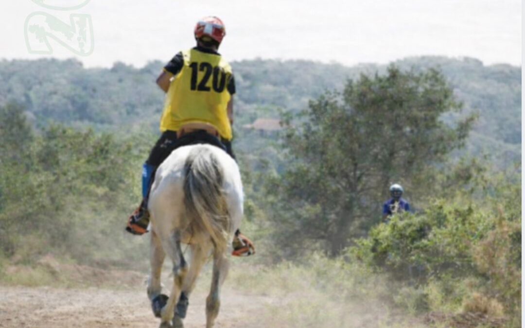 La Palma acoge este sábado la segunda edición del Raid Villa de Garafía