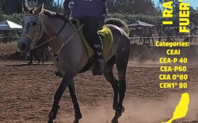 Pozo Negro acoge la primera edición del Raid Isla de Fuerteventura el próximo 6 de diciembre de 2025