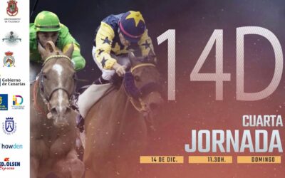 El Hipódromo de Valleseco celebra este domingo la cuarta jornada de la Copa San Vicente Ferrer con un intenso programa de carreras