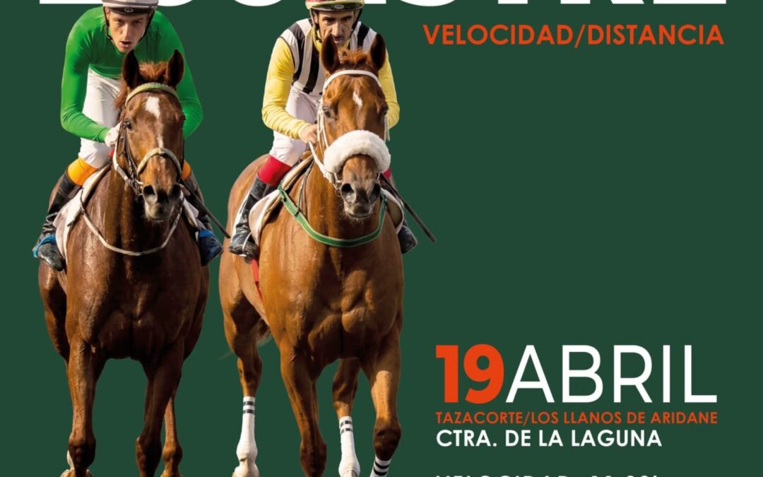 La Palma será el escenario este 19 de abril de una nueva jornada de competición ecuestre de velocidad y distancia