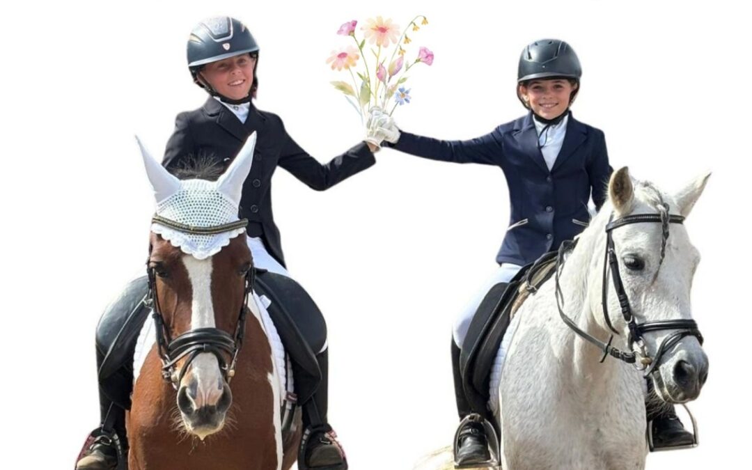 La doma clásica y paralímpica se dan cita en el Real Club de Golf de Las Palmas los días 2 y 3 de mayo