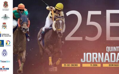 Valleseco acoge la primera jornada de carreras de caballos de 2026 con la IV Copa Hípica San Vicente Ferrer