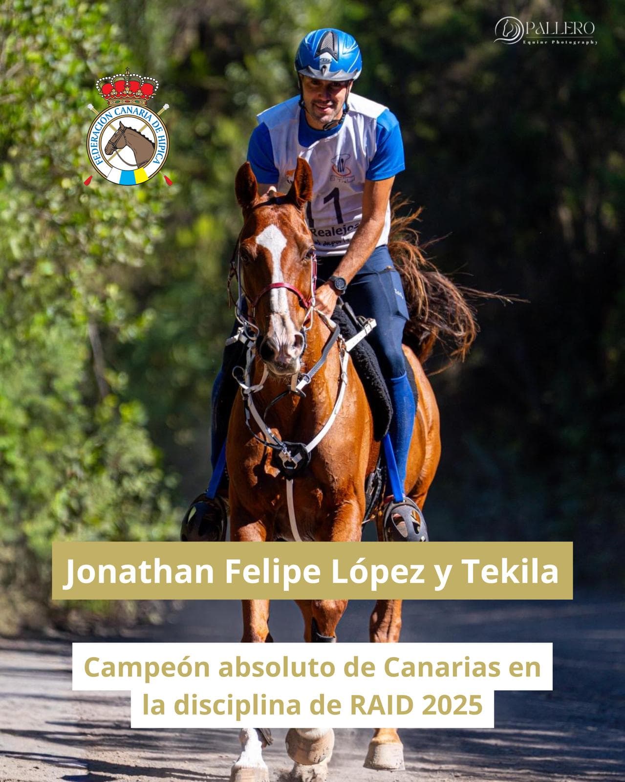 WhatsApp Image 2025 12 26 at 09.13.02