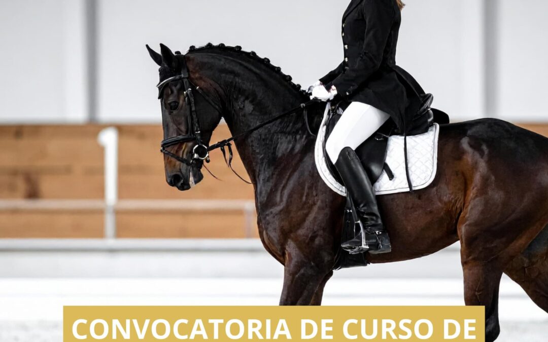 La RFHE abre la convocatoria del Curso de Promoción a Juez Nacional N2 de Doma Clásica y el Seminario de Reciclaje