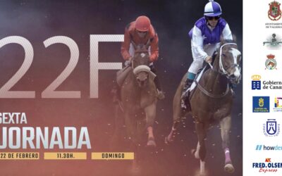 La sexta jornada de la temporada 2025/2026 reúne en Valleseco a destacados binomios en una intensa jornada de carreras