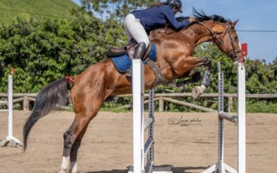 Éxito de participación y alto nivel deportivo en el CST Carnaval 2026 celebrado en el Centro Hípico Ciudad de Arucas