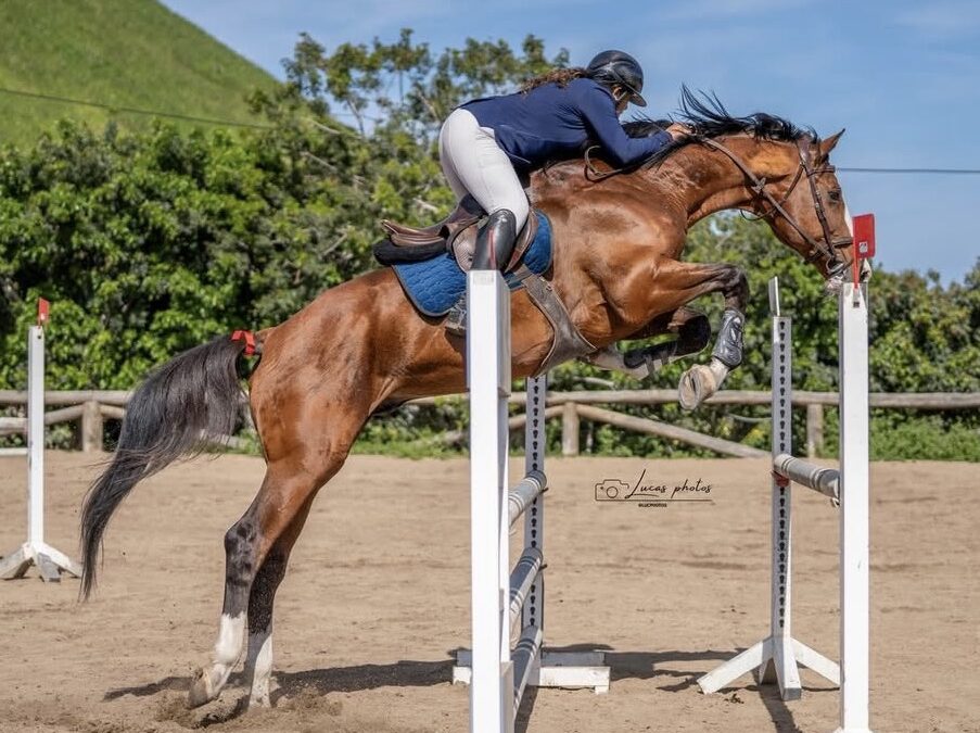 Éxito de participación y alto nivel deportivo en el CST Carnaval 2026 celebrado en el Centro Hípico Ciudad de Arucas