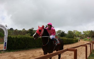 La VII Jornada de la Copa Hípica San Vicente Ferrer reúne a los mejores binomios en Valleseco