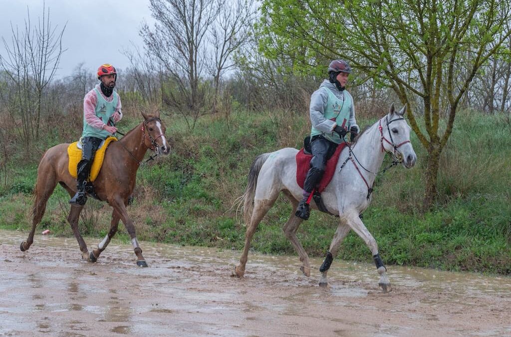 Destacada actuación de los deportistas canarios en el XVIII Raid de Tordera