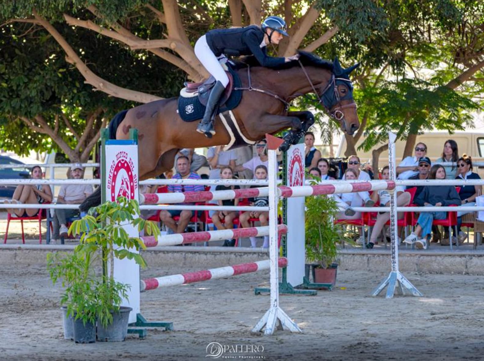 MAXIE MARIE PROBST CON ELEKTRA DP FOTO ISA PALLERO CSN ARONA PLAYA DE LAS AMERICAS MARZO 2026