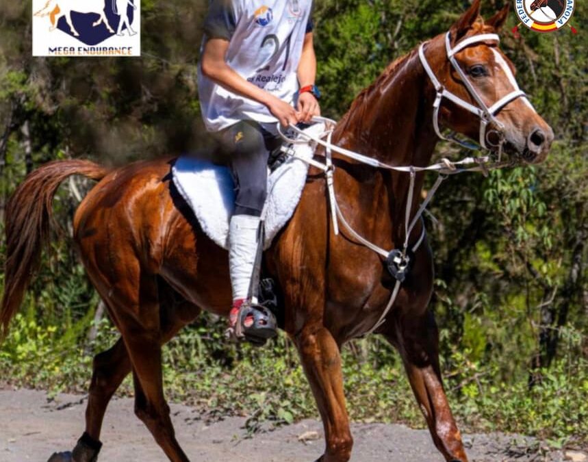 Los Realejos será el escenario de la séptima edición del Raid Hípico Chanajiga que se celebra el próximo sábado