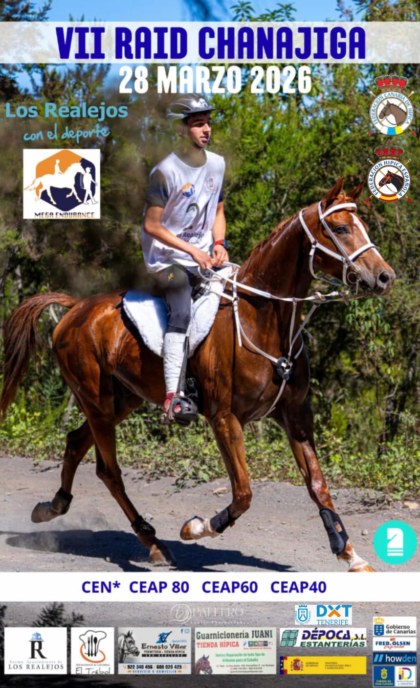 RAID CHANAJIGA 28 MARZO 2026 (1)