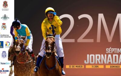 La Copa San Vicente Ferrer celebra su séptima jornada este domingo en Valleseco