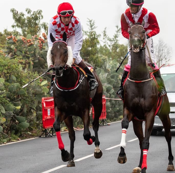 El Amparo acoge el 2 de mayo una nueva jornada de carreras tradicionales de caballos