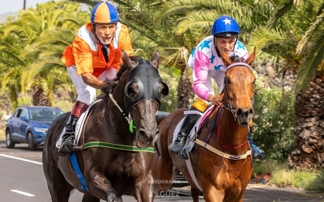 La Palma Ecuestre reúne a los mejores binomios en una intensa jornada de velocidad y distancia en Tazacorte y Los Llanos de Aridane