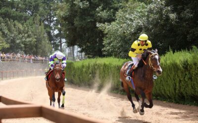 Espectáculo y alto nivel en el Hipódromo de La Laguna con la VIII Jornada de la Copa Hípica