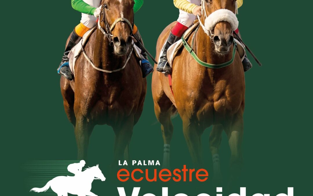 La Palma acoge una nueva jornada de competición ecuestre con pruebas de velocidad y distancia en Los Llanos de Aridane