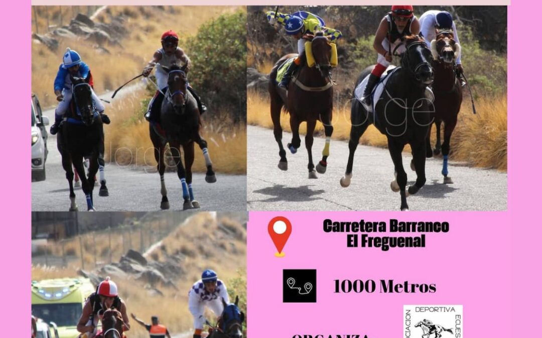 Güímar acoge la primera fase del Campeonato de Tenerife de carreras hípicas este sábado