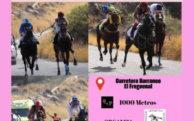 Güímar acoge la primera fase del Campeonato de Tenerife de carreras hípicas este sábado