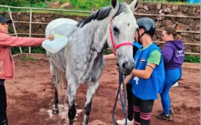 Jornada de resistencia ecuestre en El Sauzal con el Raid CH Delnorte y AERAC del pasado sábado