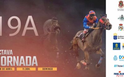 Regresan las carreras de caballos al Hipódromo de La Laguna de Valleseco este domingo con la octava jornada de la IV Copa Hípica SVF